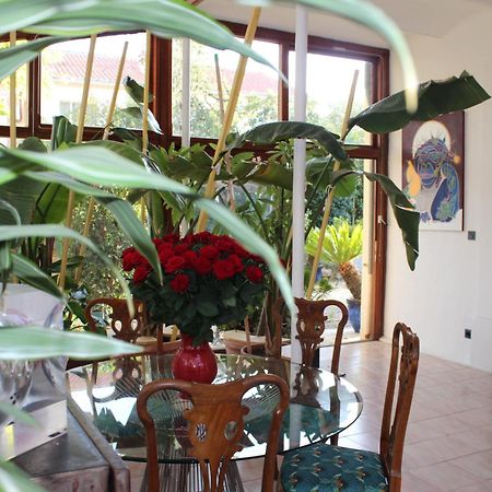 Villa Kumquats Béziers Kültér fotó